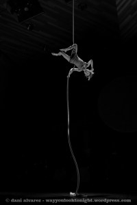 PremisZirkolika15_210 bn