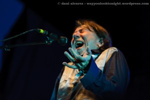 dia-de-brasil_16_486