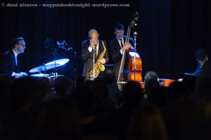 bruut_alternatilla_109